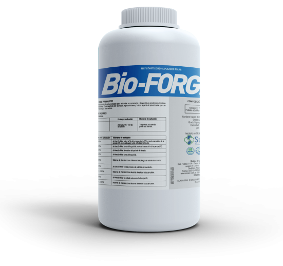 BioForge